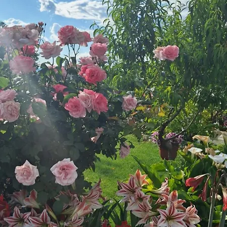 Marija, New 1bd With Free Parking Appartement *